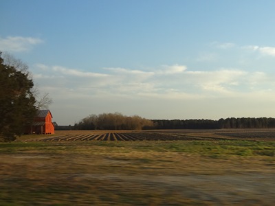drive2.jpg