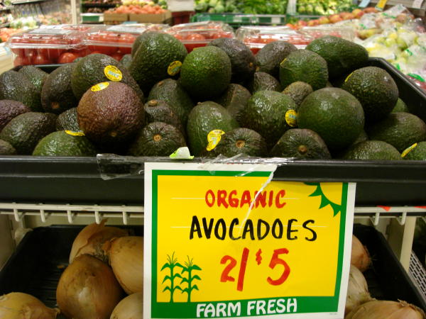 avocado.jpg avocado.jpg