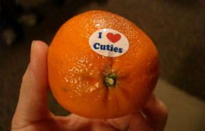 cuteorange.bmp cuteorange.bmp