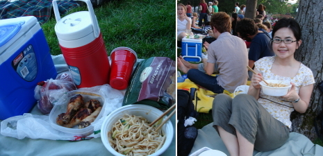 picnicravinia.jpg
