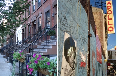 harlem.jpg