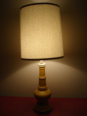 lampshade_on.jpg
