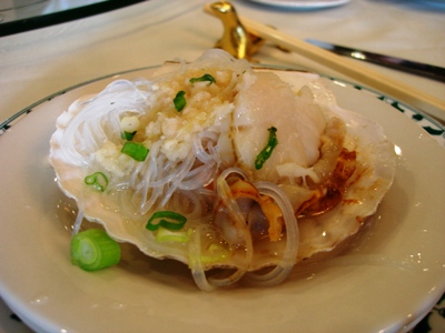 scallop.jpg
