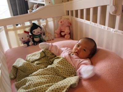 cushion1.jpg