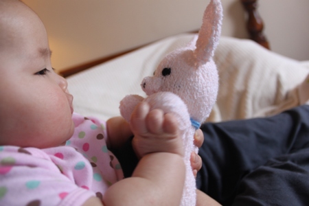 piggy3.jpg