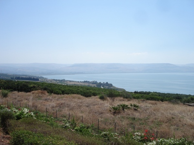 beatitudes2.jpg