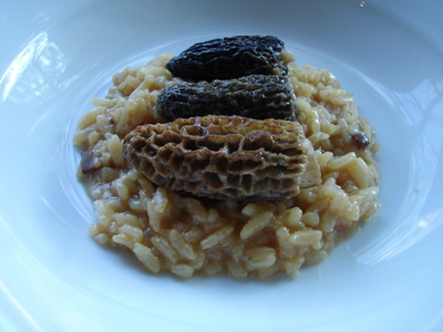 kitsdaily_morels.jpg