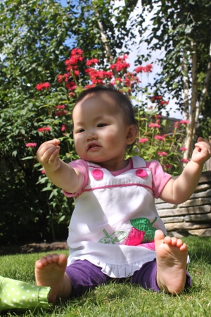 sunnyday1.jpg