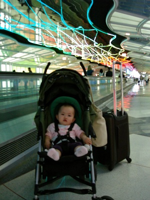 flight_ohare.jpg