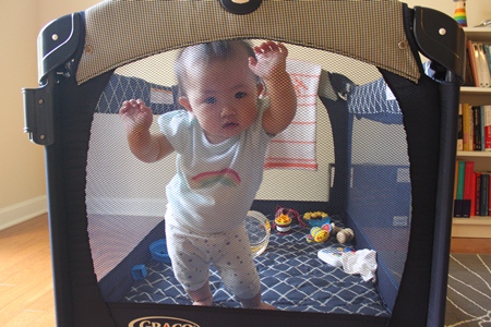 playpen1.jpg