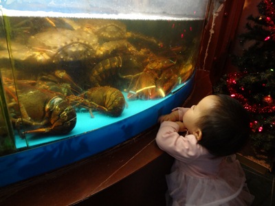 lobsters.jpg