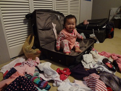 luggage2.jpg