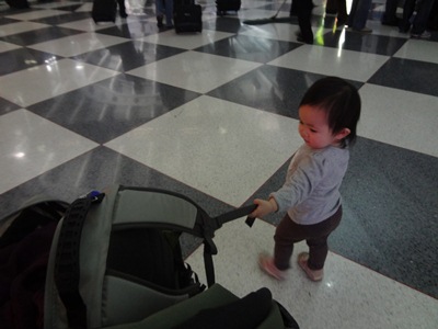 flight2.jpg