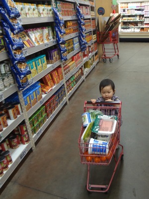 shoppingcart1.jpg