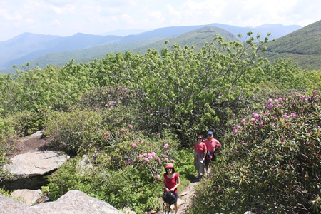craggy1.jpg