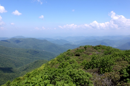 craggy3.jpg