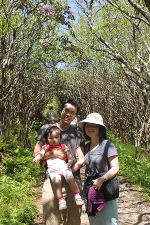 craggy4.jpg