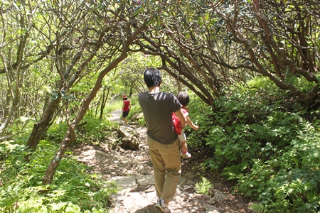 craggy5.jpg