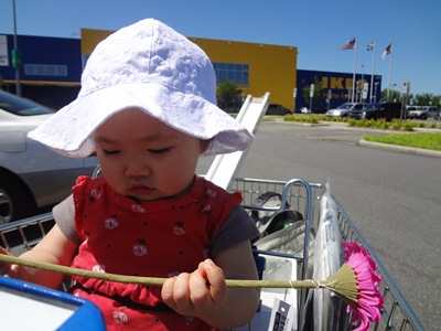 ikea3.jpg