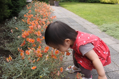 garden1.jpg
