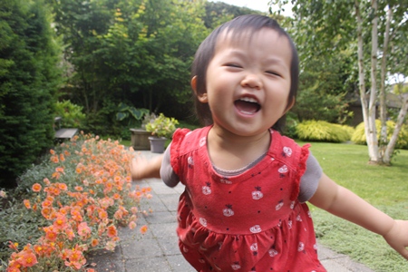 garden2.jpg