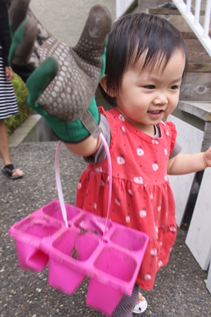 garden3.jpg