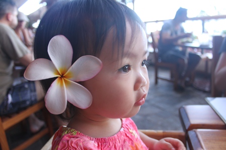 plumeria1.jpg