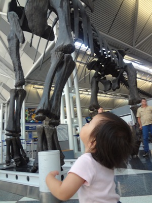 travel4.jpg