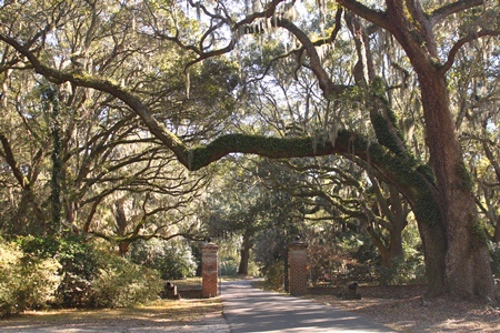 charlestownlanding1.jpg