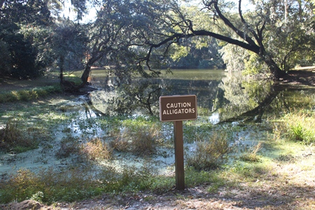 charlestownlanding2.jpg