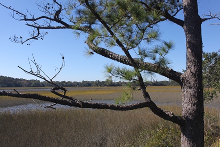charlestownlanding4.jpg