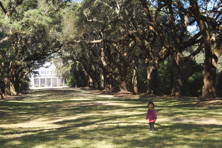 charlestownlanding8.jpg