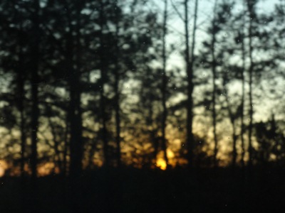 roadtrip2.jpg