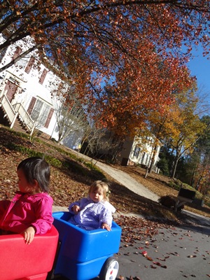 wagon2.jpg